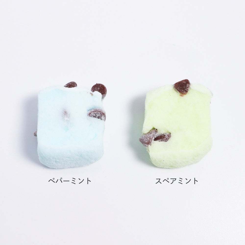 PAPABUBBLE王道人気のチョコミントシリーズ リクエストにお応えして通年販売決定
