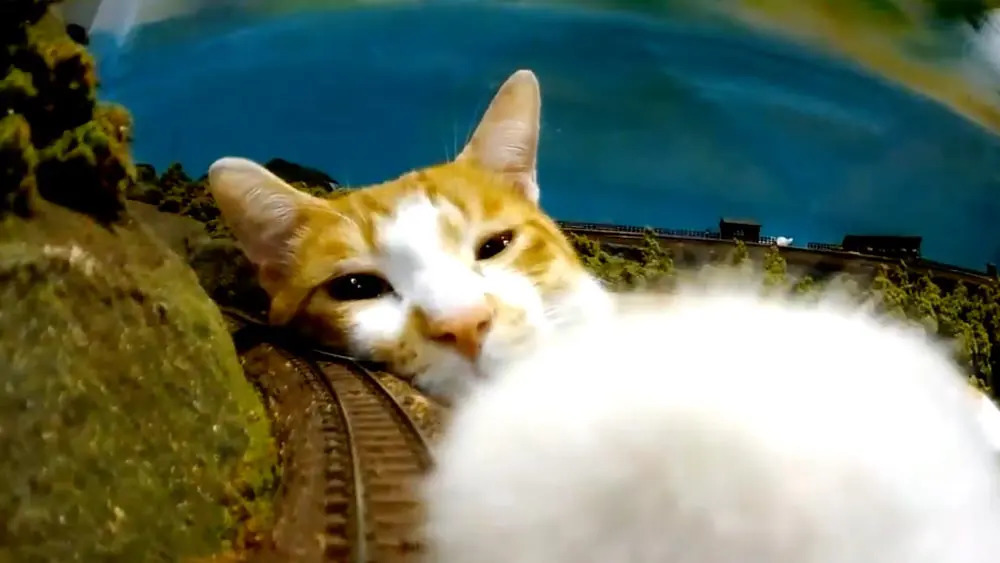 大怪獣「猫」あらわる！Nゲージ鉄道模型目線での大迫力映像