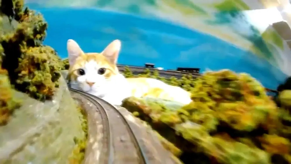 大怪獣「猫」あらわる！Nゲージ鉄道模型目線での大迫力映像