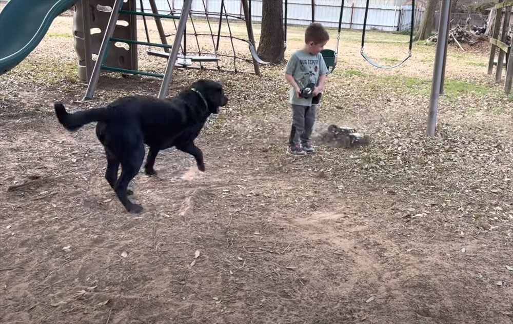 最後にアクシデント発生！ラジコンカーを巧みに操り愛犬と遊ぶ男の子。愛犬はラジコンカーを追い回すのに夢中になりすぎて・・【アメリカ・動画】