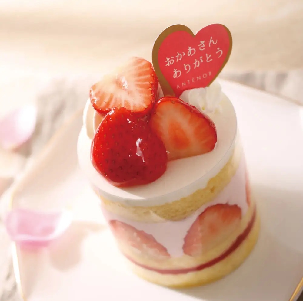 【アンテノール 母の日限定】 チョコレートでつくるカーネーションのケーキで日頃の感謝を