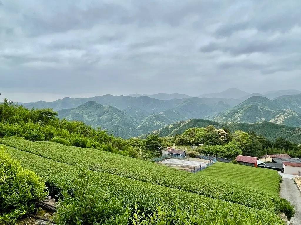 リンツのために作られた希少な「天空の抹茶」をふんだんに使用。3月18日より、ホワイトチョコレート×抹茶×さくらの贅沢な一杯「さくらと天空の抹茶 和ショコラドリンク」が期間限定で登場！