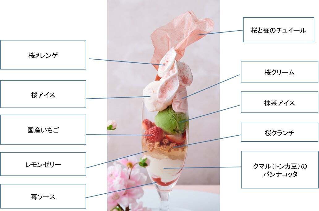 2種類の桜スイーツが新登場