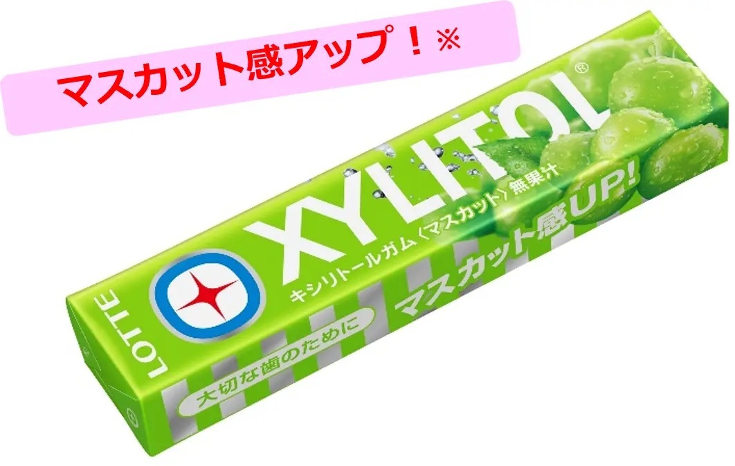 噛み始めからマスカットの香りが広がる「キシリトールガム〈マスカット〉」/ 期間限定で7+1種類に!「キシリトールガム 7種アソートボトル」 2023年3月28日(火)新発売