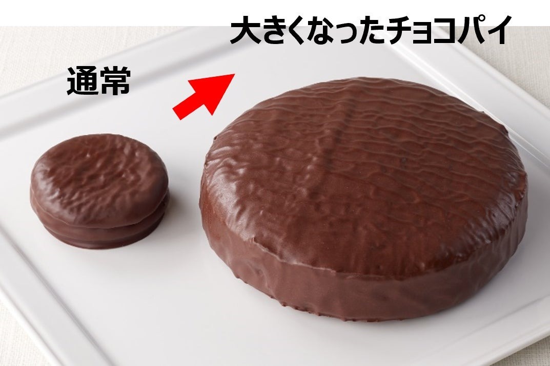 いつものチョコパイの約9倍！？(※重量比較)『大きくなったチョコパイ』がロッテオンラインショップで500個の数量限定で発売！！