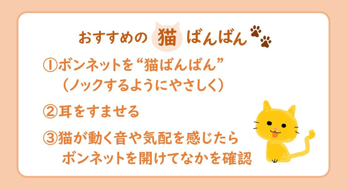 猫がクルマに入り込む理由は「寒さ」より「子猫」。JAFが対応したトラブル件数は343件(2023年6月データ)