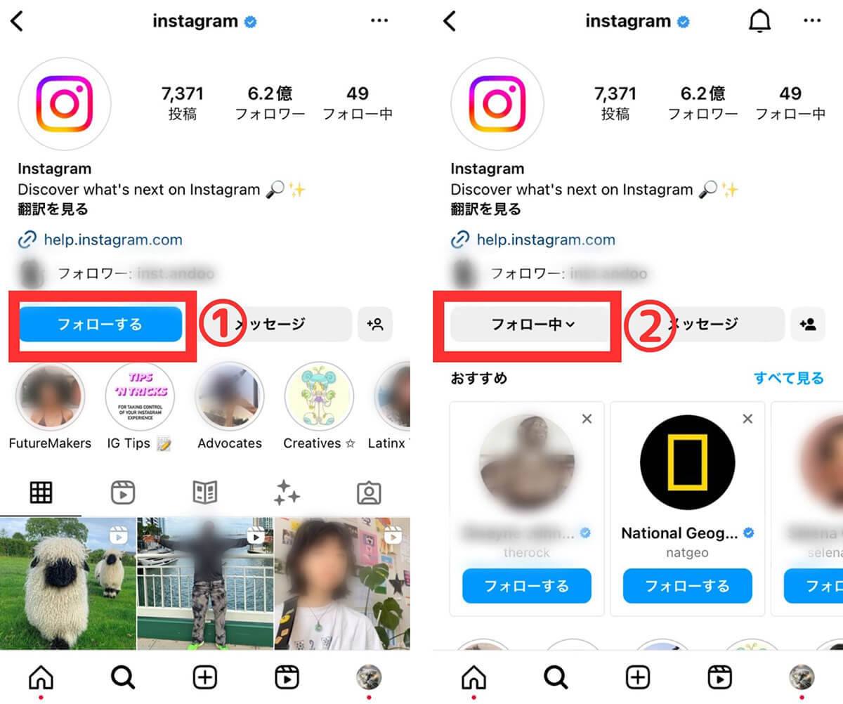 【完全ガイド】Instagram「フォロー」機能の基本とフォロワー増加の仕組み・コツ