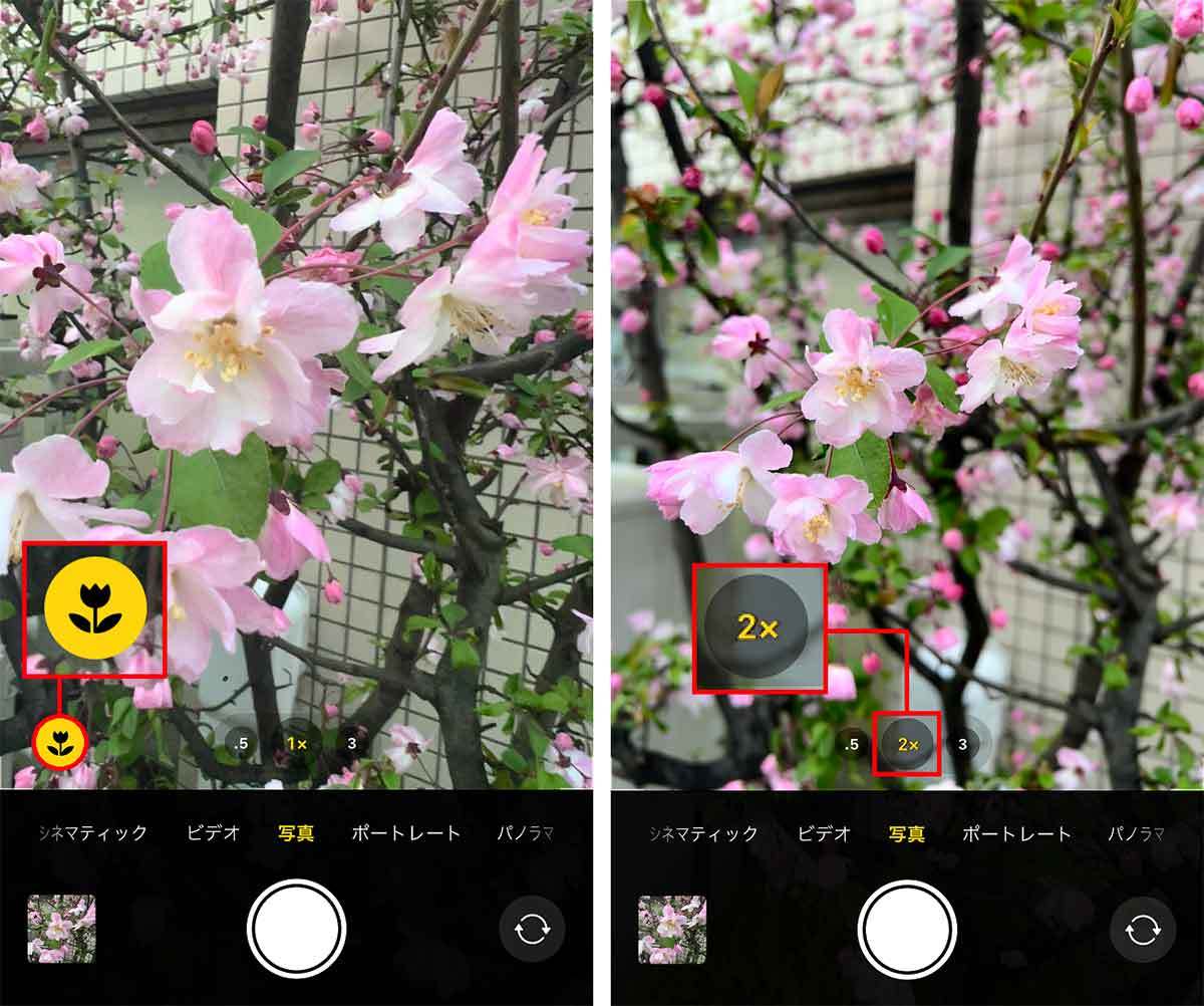 iPhoneで「桜」をきれいに撮る方法 – ちょっとしたコツで周りに差をつける7つのワザ！