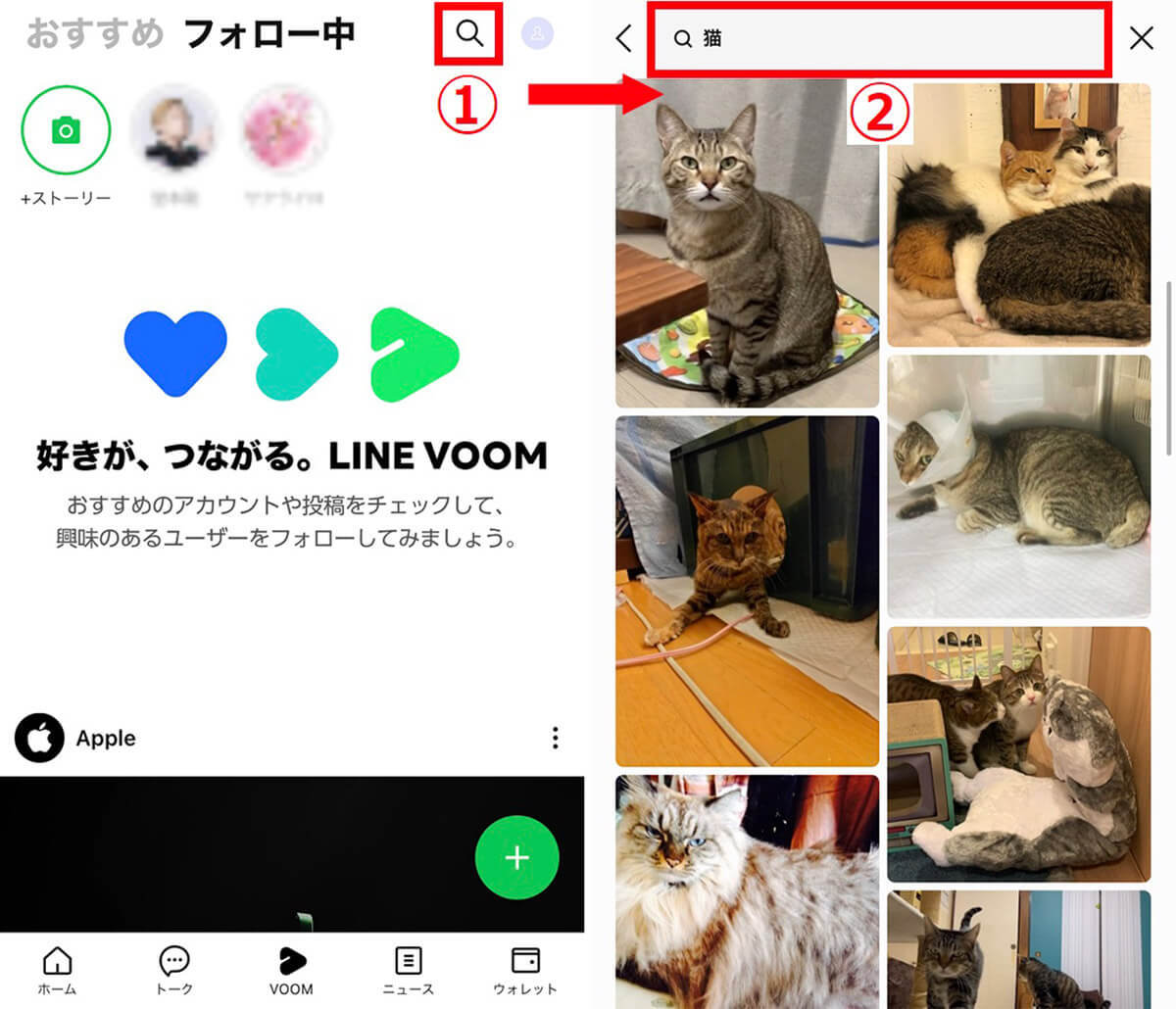 LINE VOOMの「フォロー」機能の使い方 – フォローのやり方/解除方法を画像付き解説