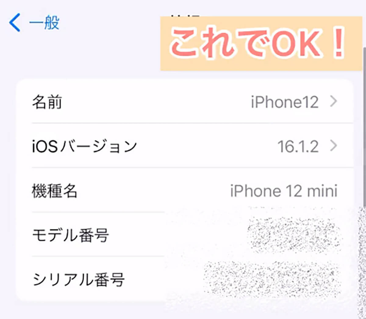 iPhoneを自分の「名前」している人はすぐ変更して – 変えないと本名がバレます！