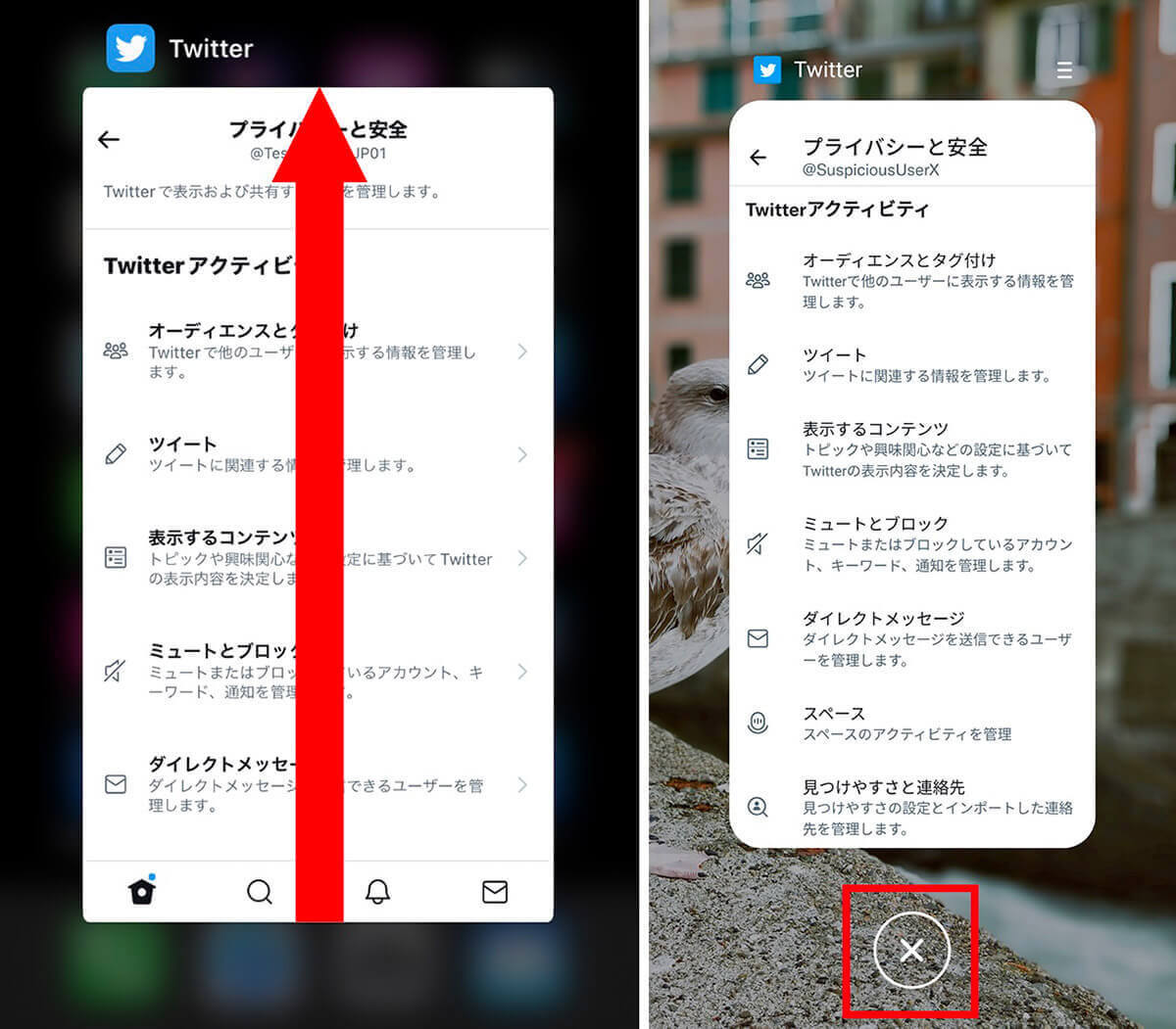 Twitter「センシティブな内容」が見られない原因は？警告を解除して閲覧する方法