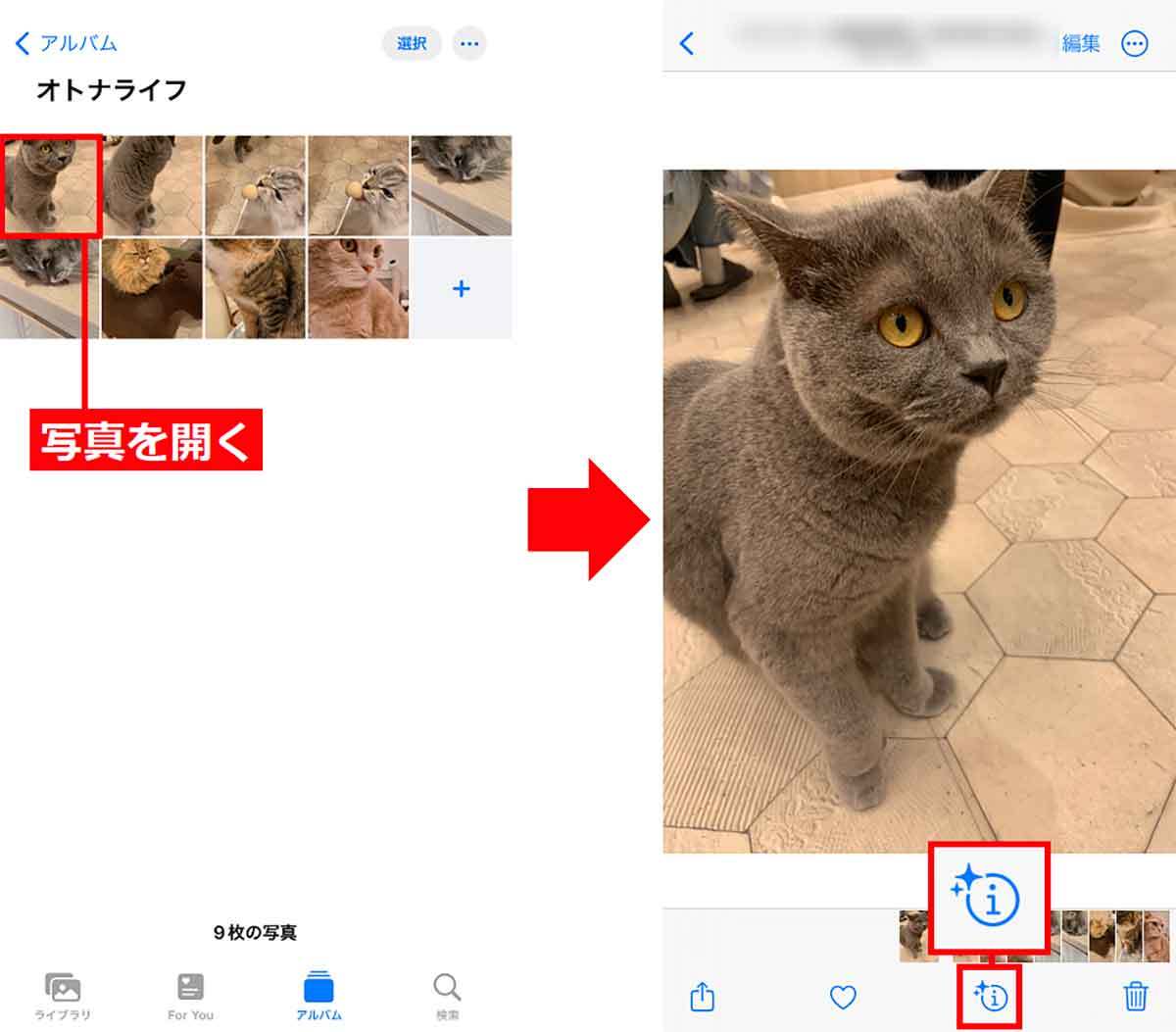 iPhoneカメラで撮影した写真の被写体をネット検索する3つの方法