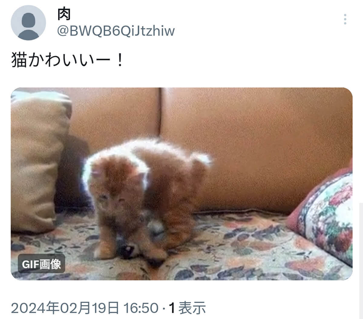 【2024年最新】X/TwitterのGIF動画をダウンロードして保存する方法