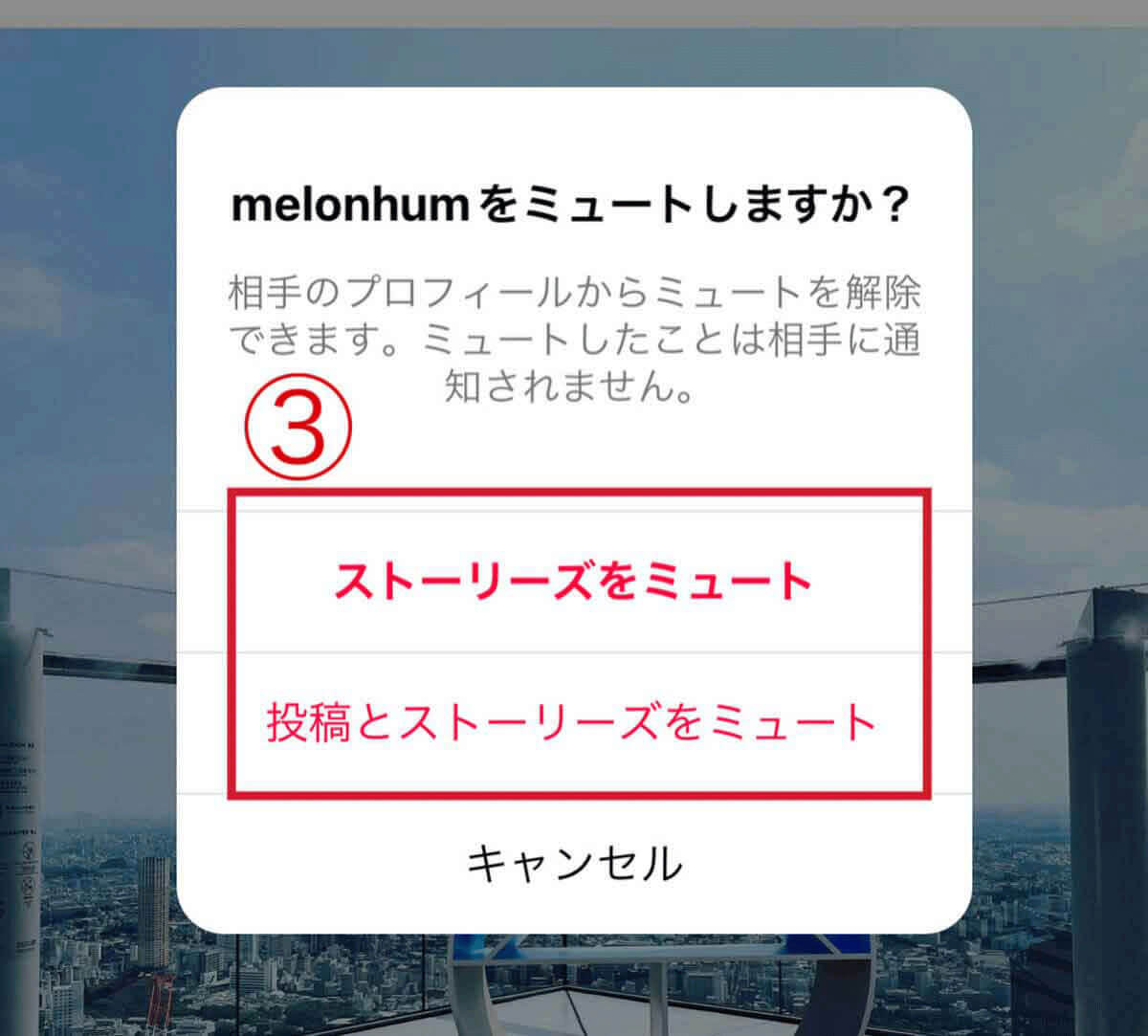 Instagramのストーリーが見れない！ 表示されない6個の原因と対処法