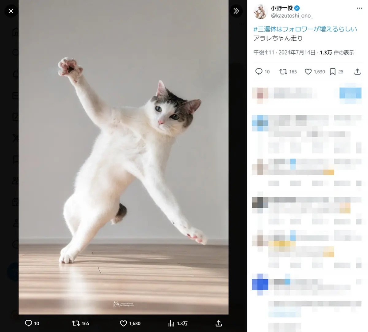 実在するんだ……　見事な“アラレちゃん走り”をキメる猫