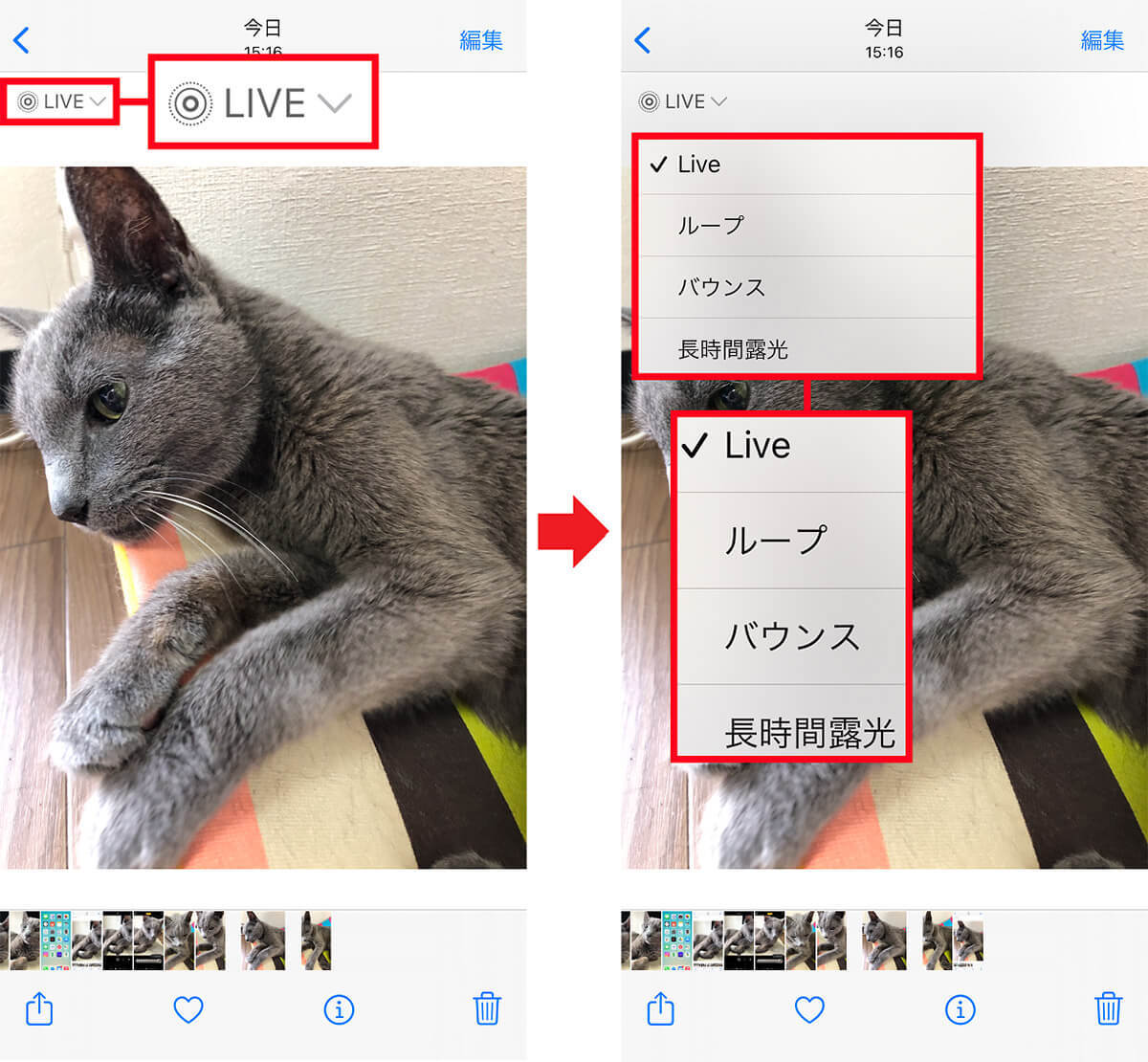iPhoneの「Live Photos」の基本操作とエフェクトの使い方を解説