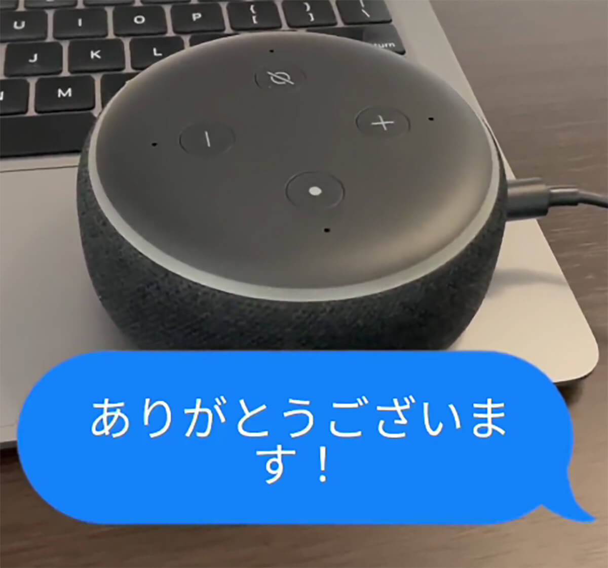 「GPT先輩やけど、どうした？」ChatGPTと音声会話する動画が話題