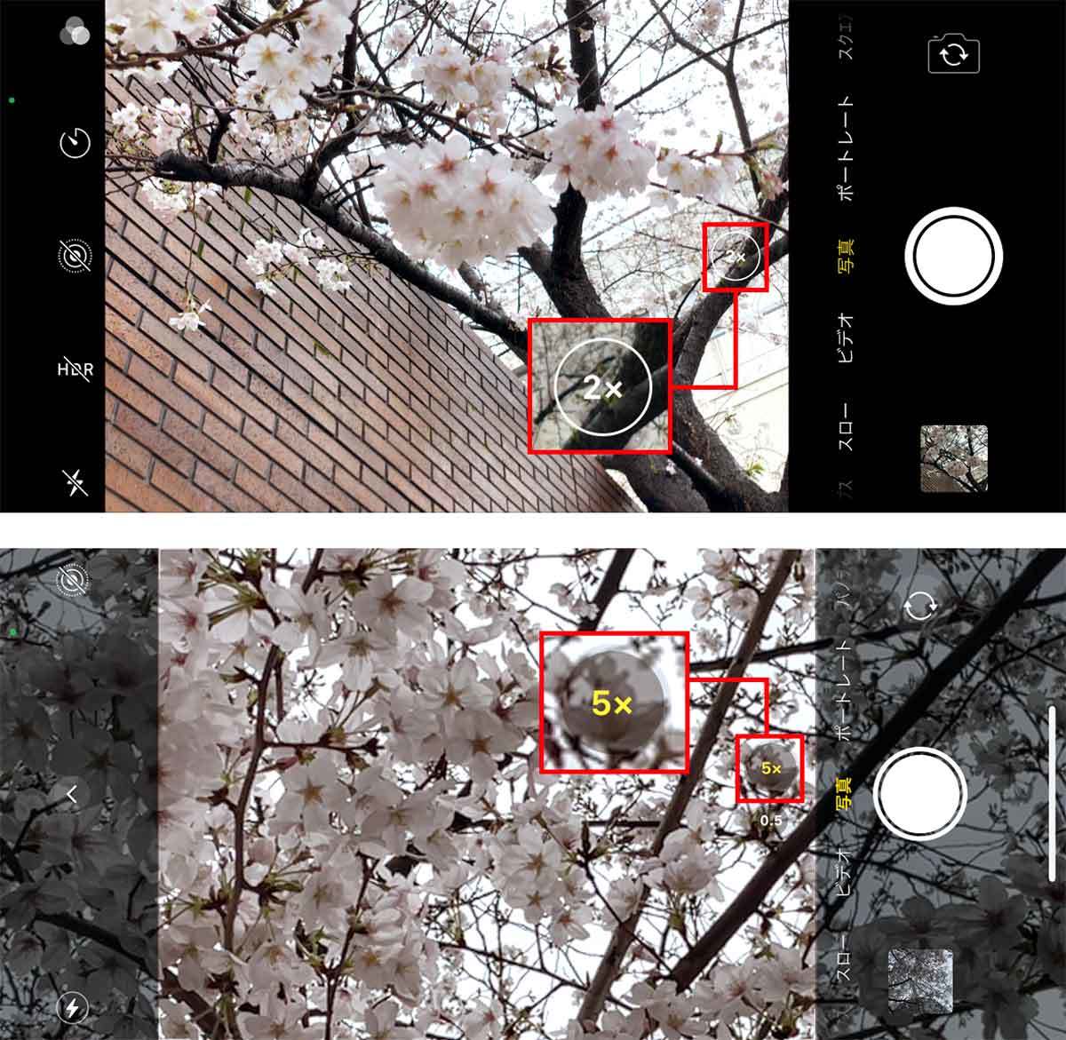 iPhoneで「桜」をきれいに撮る方法 – ちょっとしたコツで周りに差をつける7つのワザ！