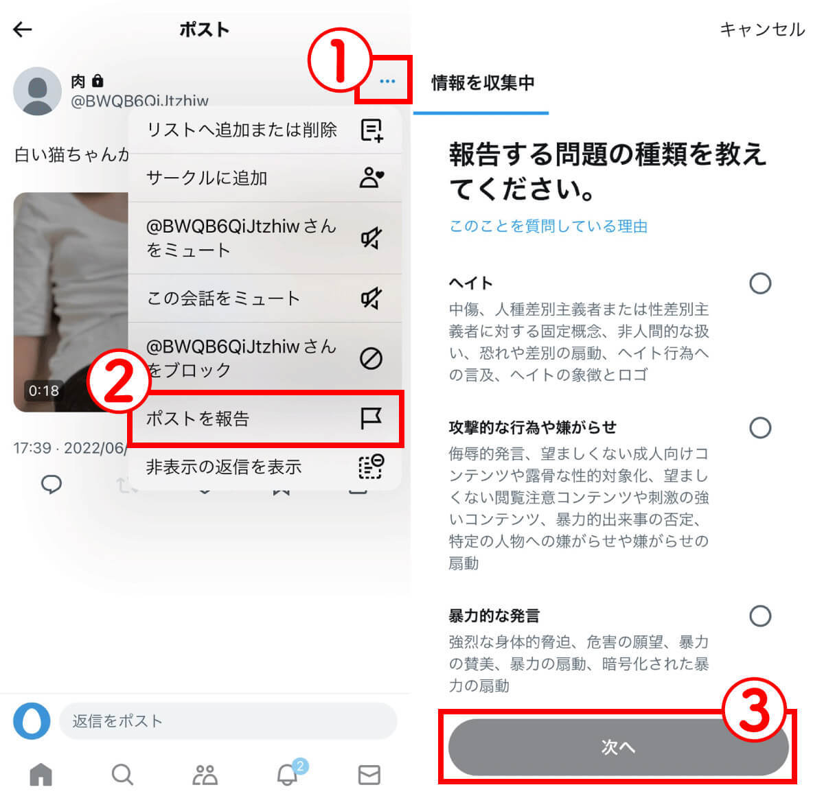 【iPhone】X（旧Twitter）「センシティブな内容」の警告が解除できない！判定の原因と対処法