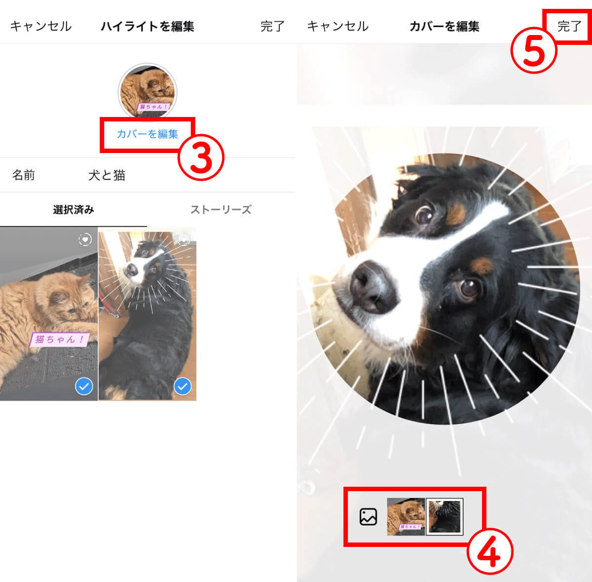 【完全ガイド】Instagramのハイライトとは？作り方から使い方まで徹底解説