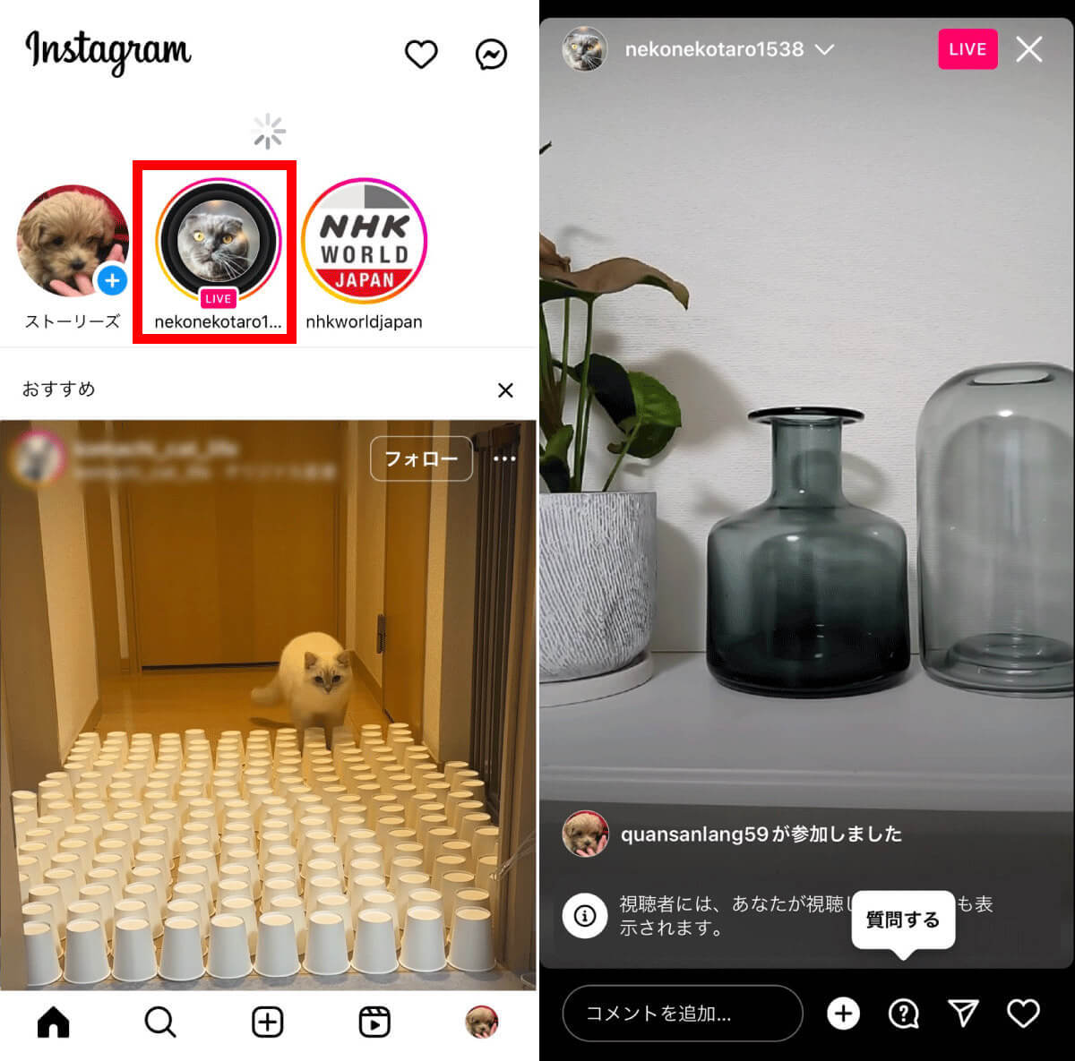 【インスタグラム超入門】インスタへの写真・動画の投稿方法、使いこなす方法まで全ガイド