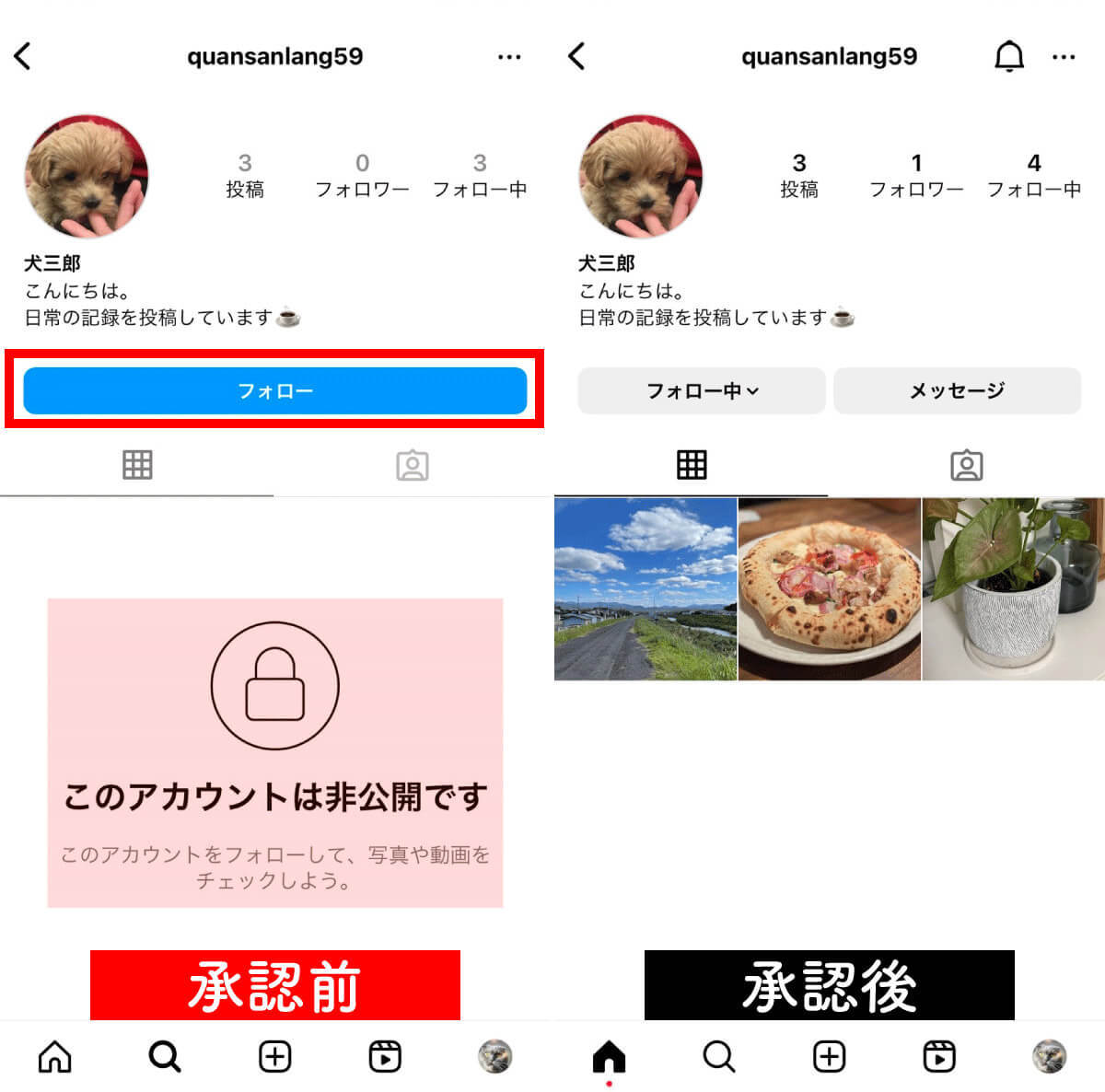 Instagram「フォロー」機能の基本：フォローしたらできること5選！フォロワー増加の仕組み・コツも