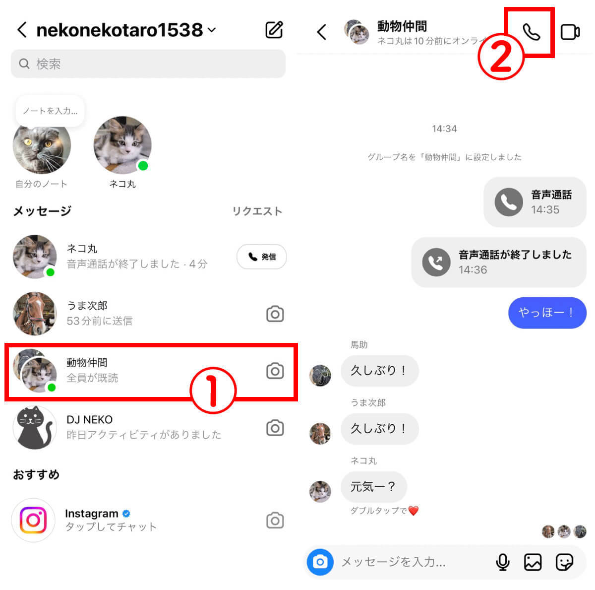 インスタグラムの「電話」のかけ方・応答のやり方：グループDMでの通話方法も