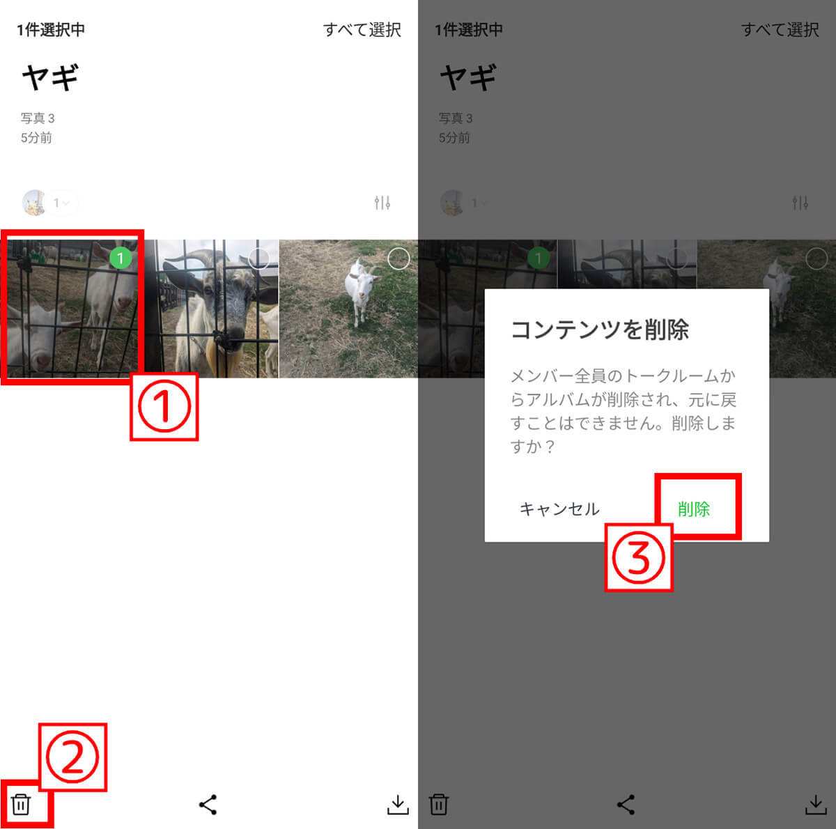 LINE「アルバム」の作り方と写真の追加方法・削除方法：転送したいときの対処法も