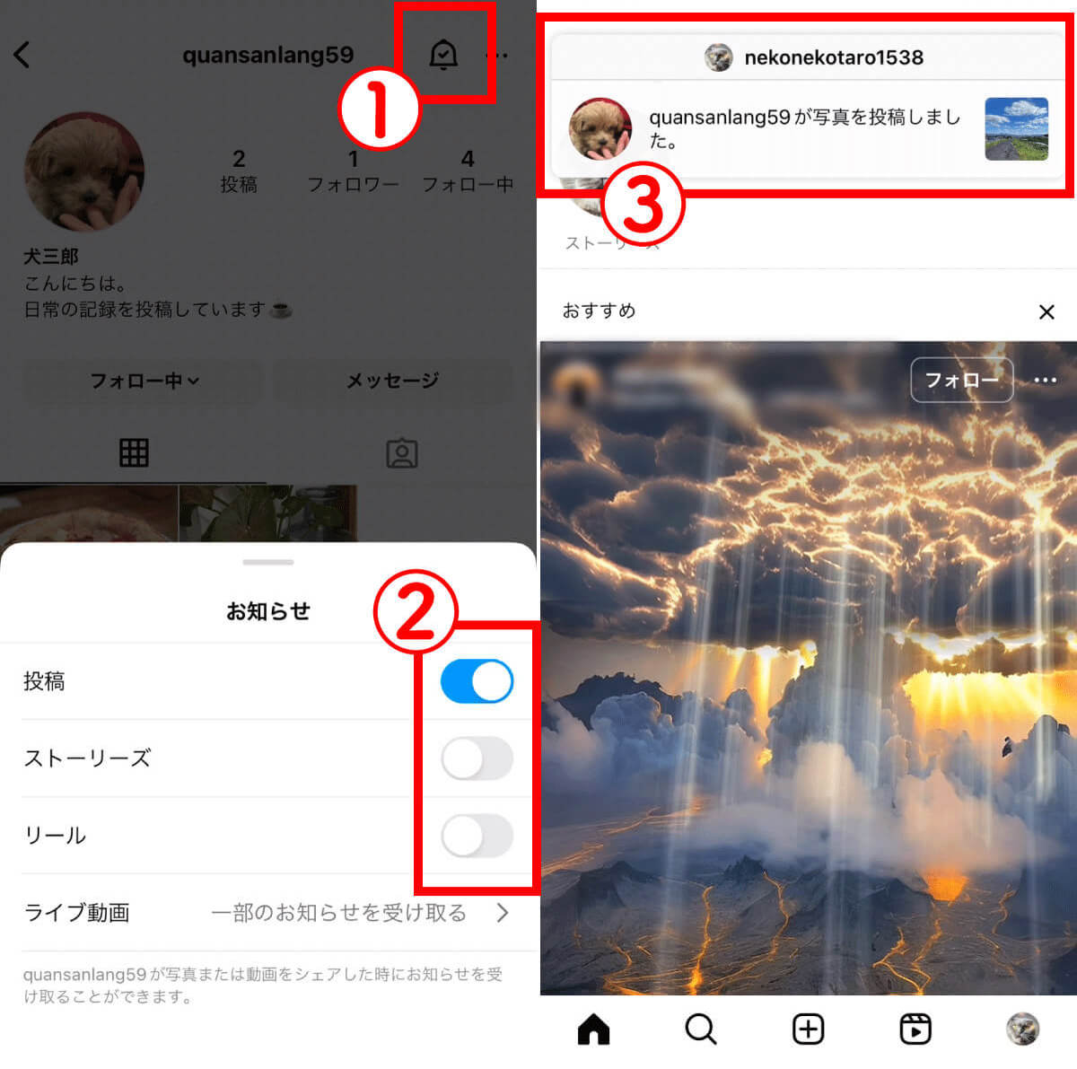 Instagram「フォロー」機能の基本：フォローしたらできること5選！フォロワー増加の仕組み・コツも