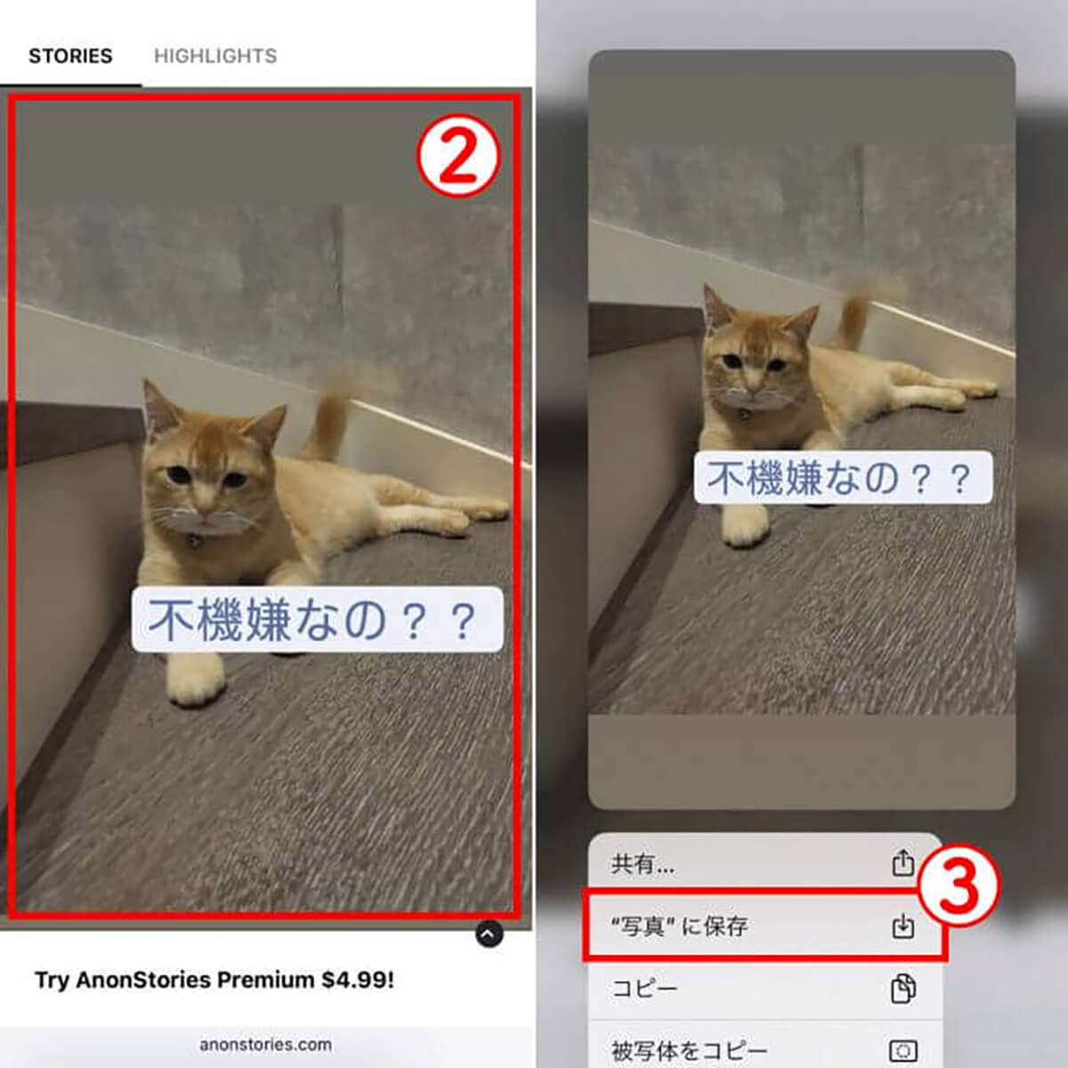 インスタで足跡（閲覧履歴）が残る場合一覧と閲覧履歴の確認方法：足跡を付けない方法も