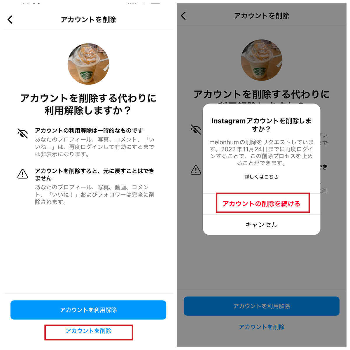 【完全ガイド】Instagramで自分の「いいね」した投稿一覧の確認方法