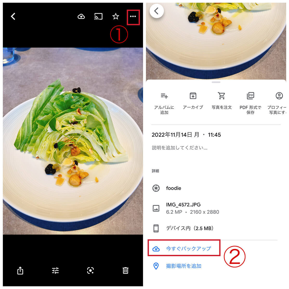 Googleフォトを安全に利用するためのコツ – 使い方次第では他人に見られる危険性も