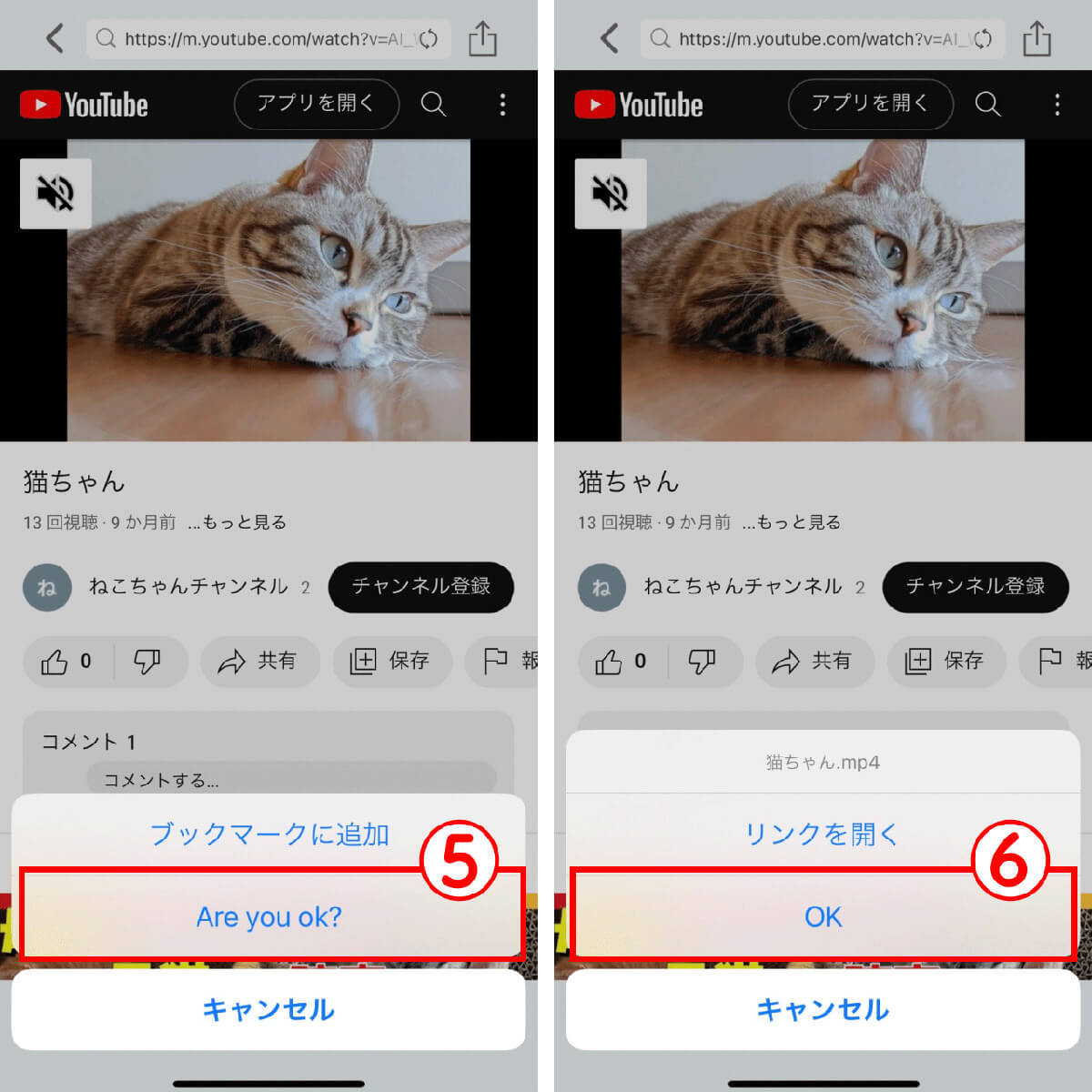「トルミル」の使い方!YouTube保存から曲の軽量化、音楽ファイルへの変換方法まで