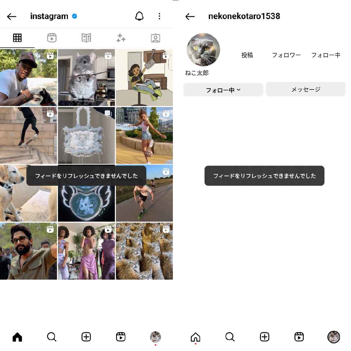 【Instagram】「フィードをリフレッシュできませんでした」更新エラーの発生条件と解決策
