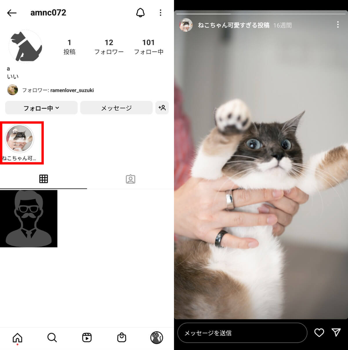 Instagram「ハイライト」の使い方と作り方 | ストーリーズとの違いと編集/削除方法も
