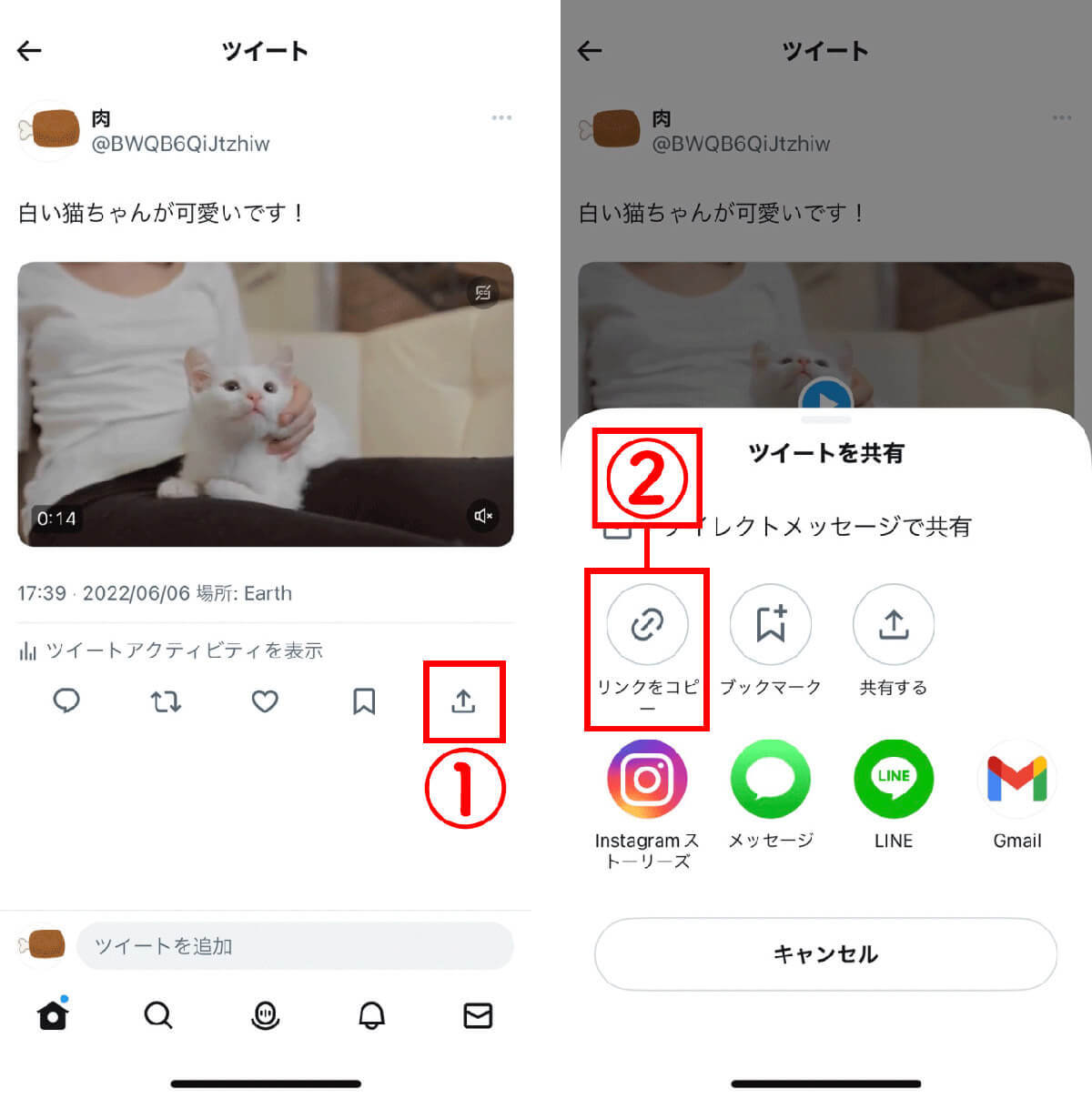 【2023年7月最新】Twitterに投稿された動画をダウンロードできるサイト3選と代替手段