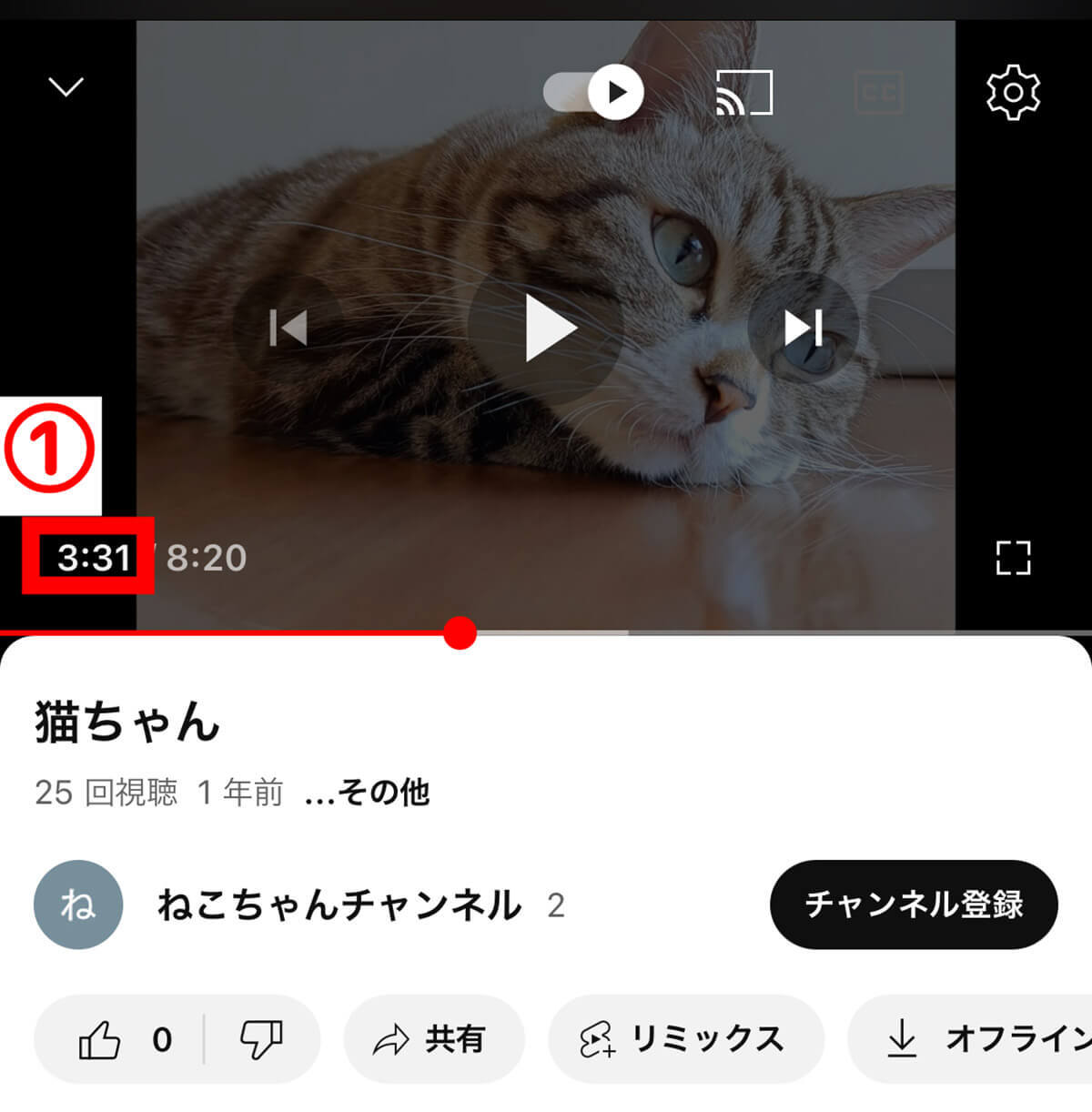 YouTubeで時間・秒数指定リンク（URL）を作成して共有、途中から再生する方法