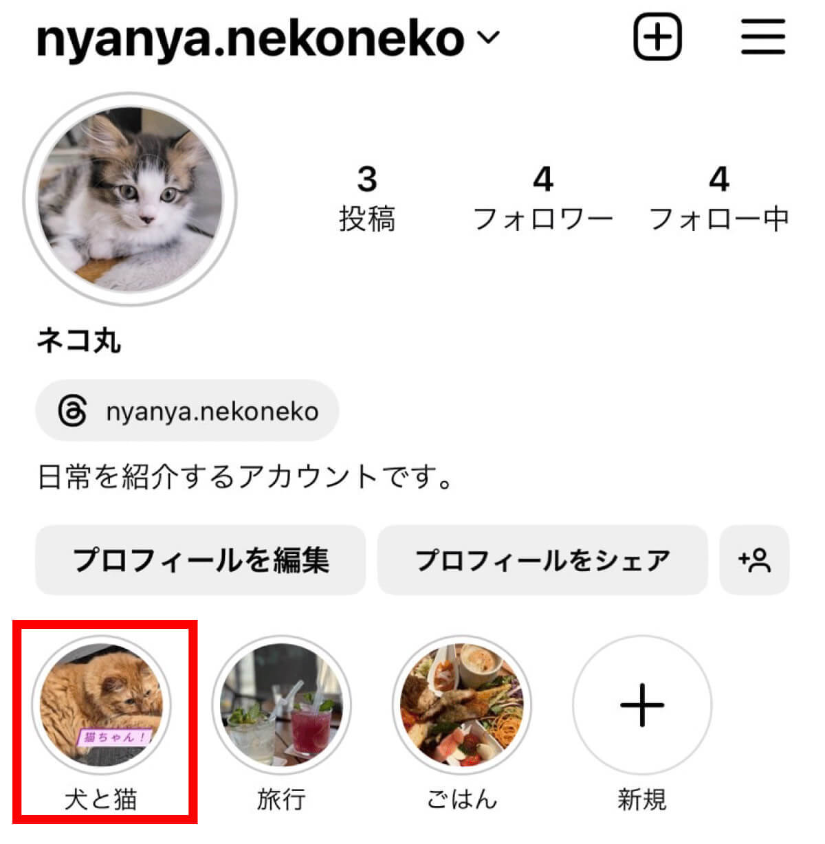 【完全ガイド】Instagramのハイライトとは？作り方から使い方まで徹底解説