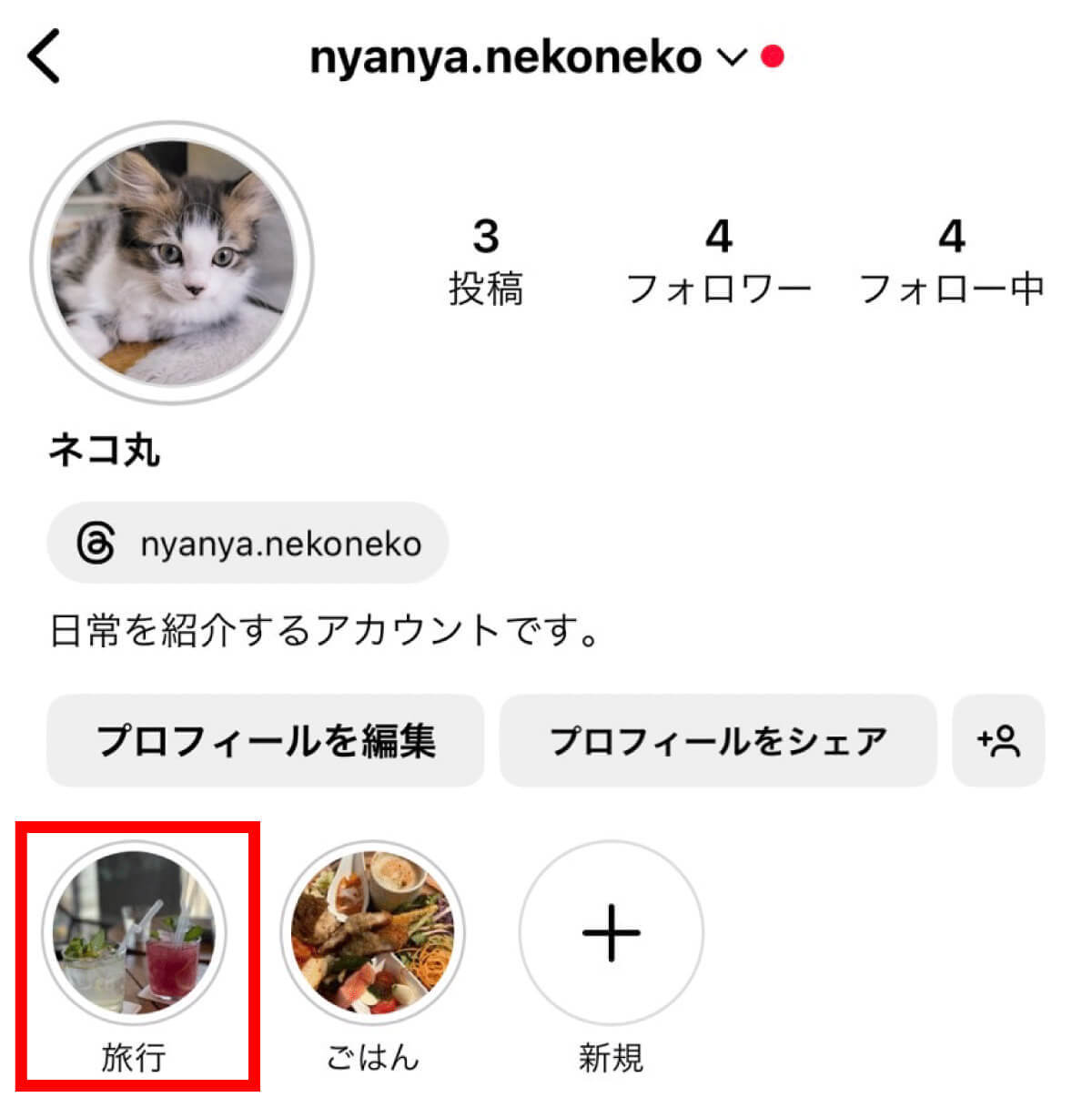 【完全ガイド】Instagramのハイライトとは？作り方から使い方まで徹底解説