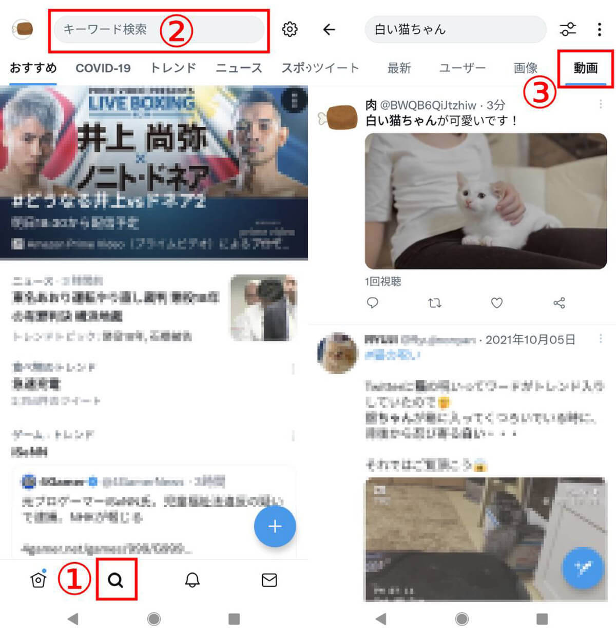 Twitterで「Twitterへの投稿動画」だけ簡単に検索する方法