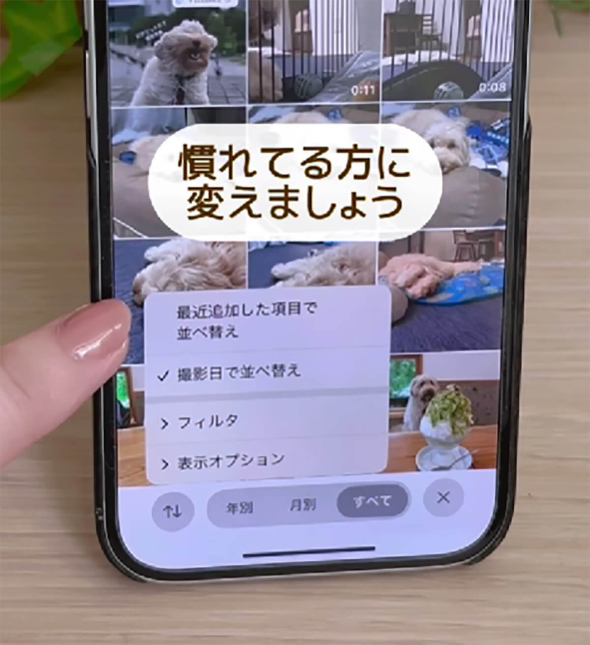 iOS 18の写真アプリに戸惑うユーザー続出！　でも実は便利な新機能満載って知ってた!?