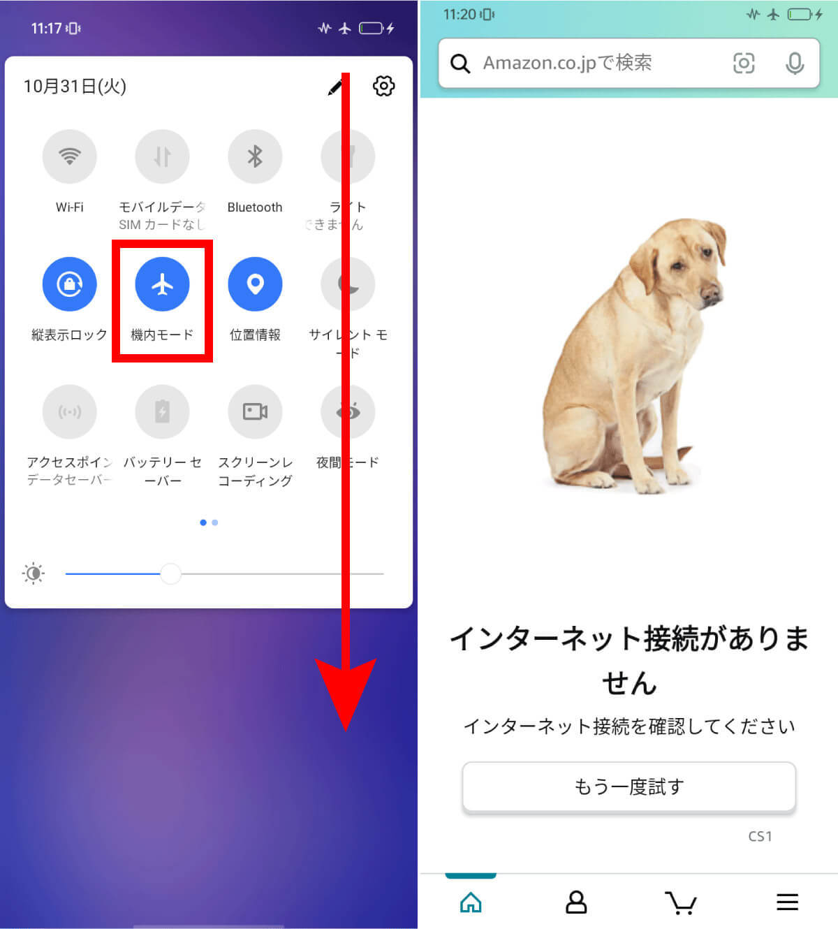 Amazonの「あの犬」が見つからない！「ページが見つかりません」エラーの犬を見る方法