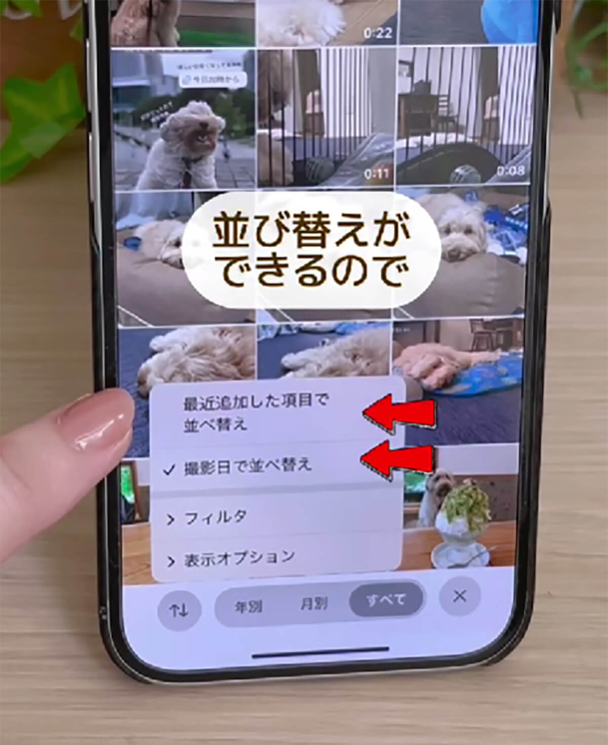 iOS 18の写真アプリに戸惑うユーザー続出！　でも実は便利な新機能満載って知ってた!?