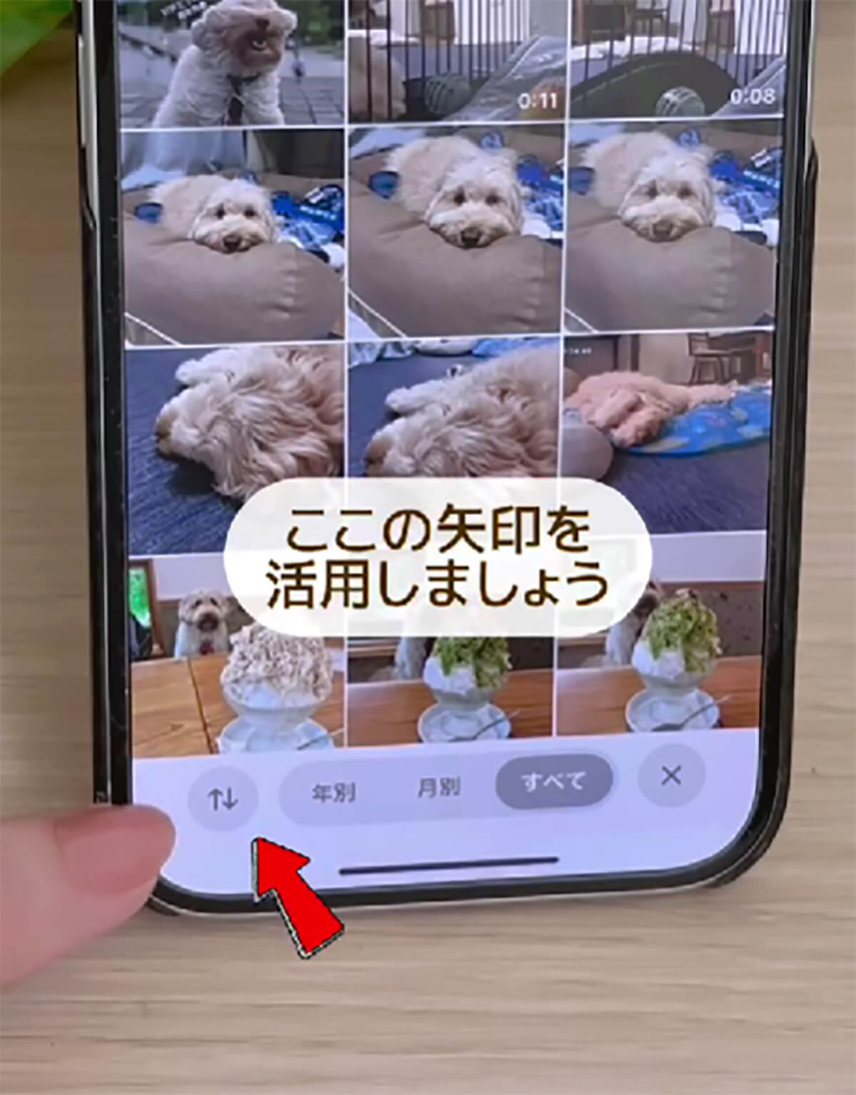 iOS 18の写真アプリに戸惑うユーザー続出！　でも実は便利な新機能満載って知ってた!?