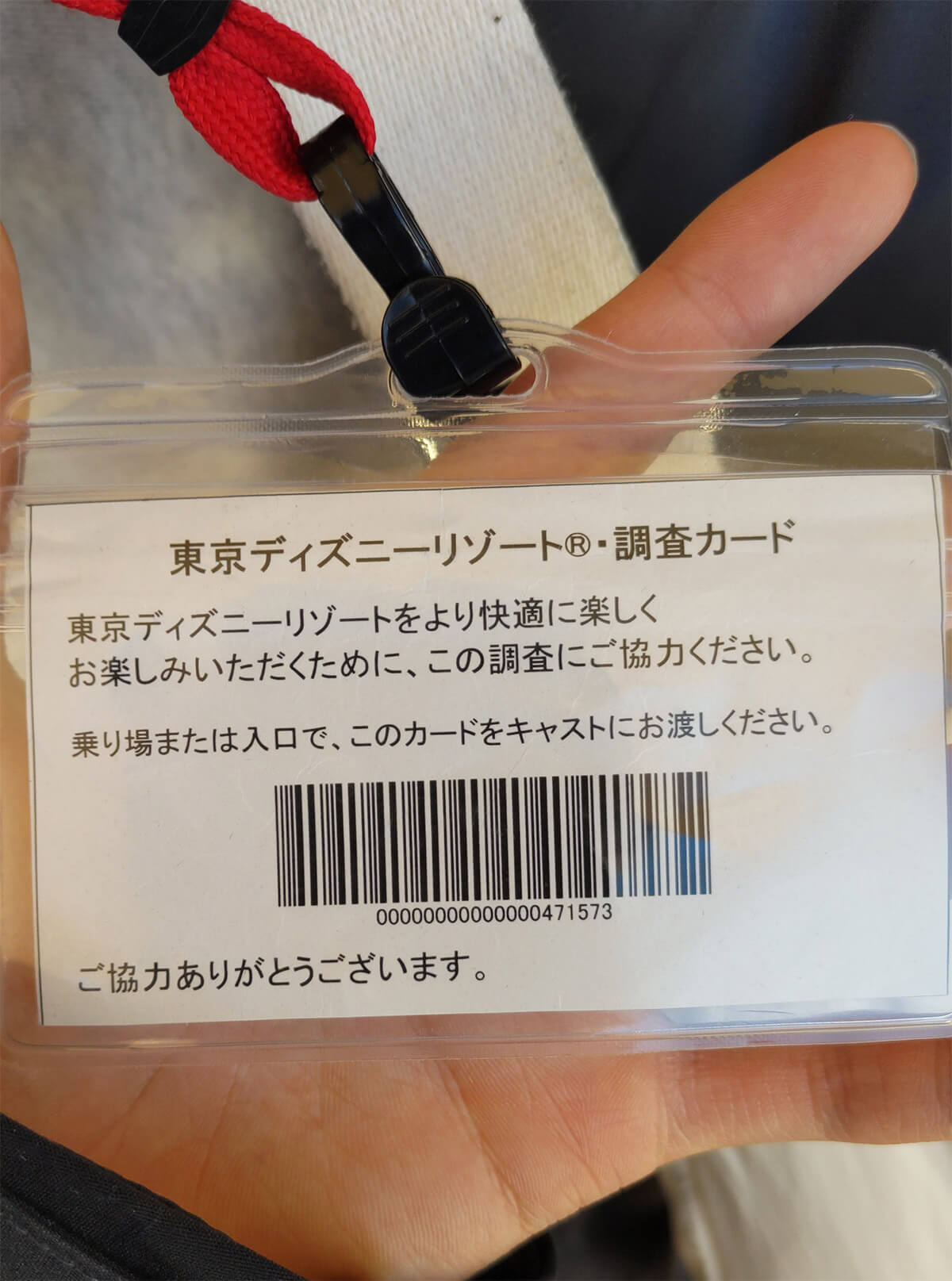 TDLの「選ばれし人にのみ渡される”調査カード”」を知ってる? – 元キャストが解説！