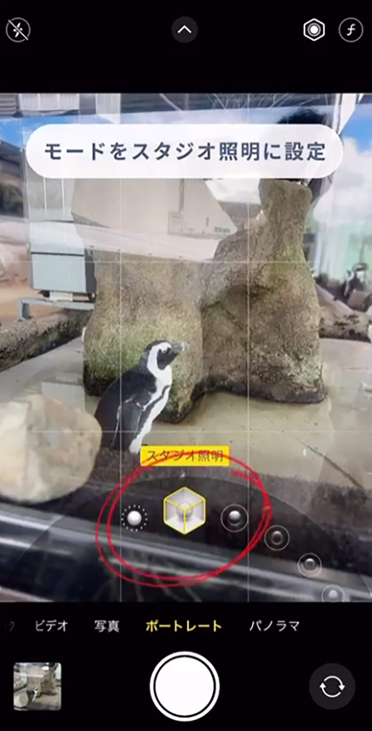 iPhone「ガラス越し写真で映り込みを防ぐ」撮影方法が話題 – 動物園や水族館で大活躍