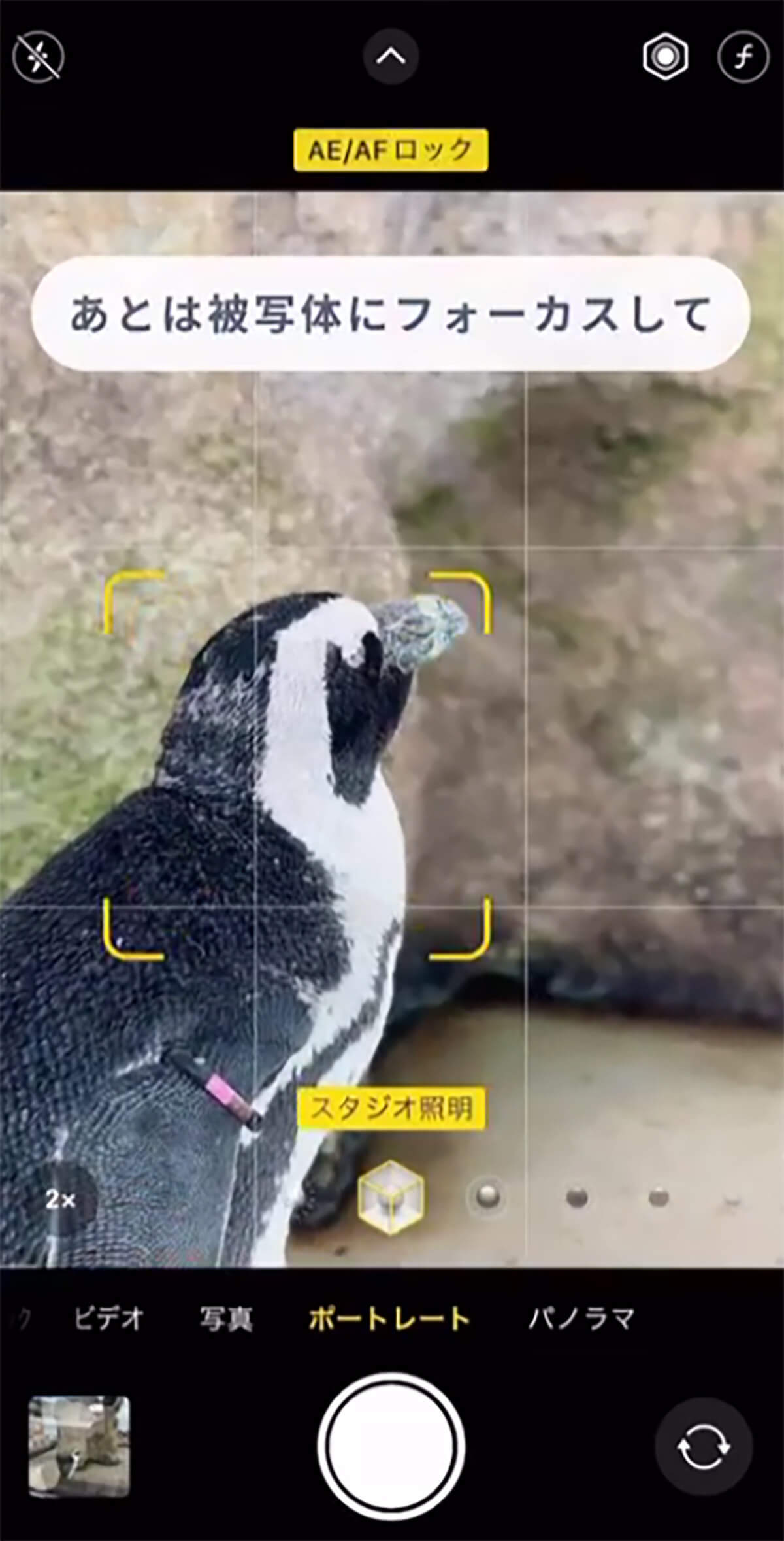 iPhone「ガラス越し写真で映り込みを防ぐ」撮影方法が話題 – 動物園や水族館で大活躍