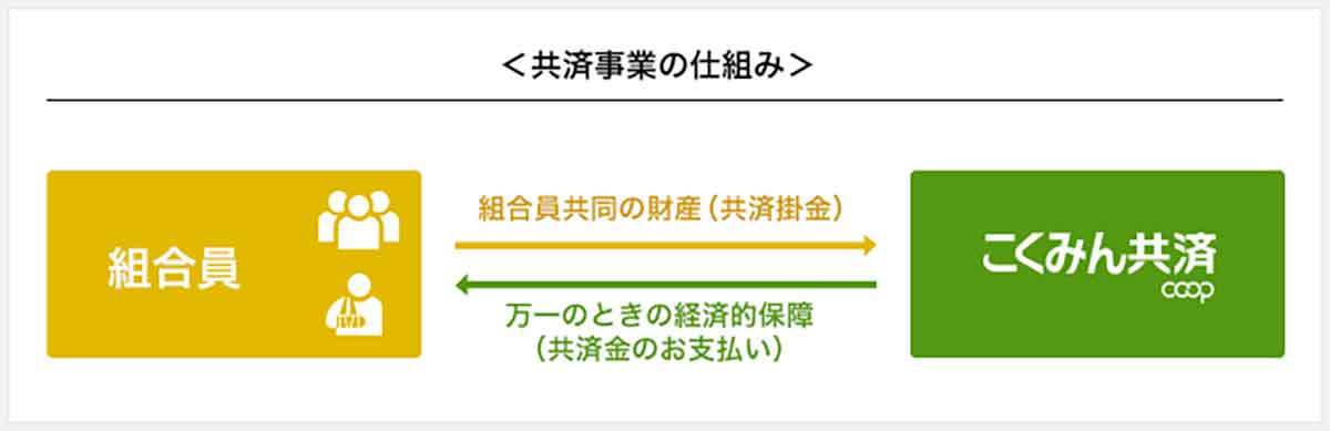 こくみん共済に入る価値はある？ 4つのデメリットや民間保険との違い、保障内容と貯蓄性を解説