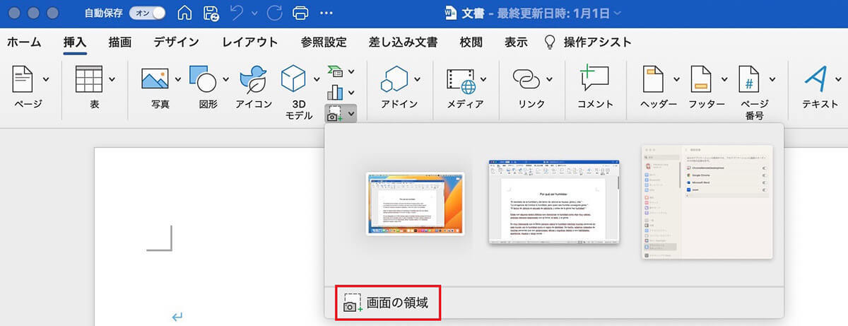 【Mac】スクリーンショットを撮る方法を解説