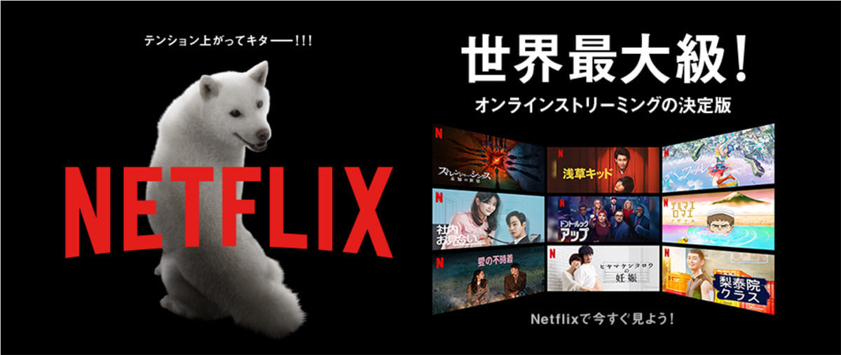 Netflix（ネトフリ）の支払い方法一覧：スマホ決済、キャリア決済で支払いできるの？